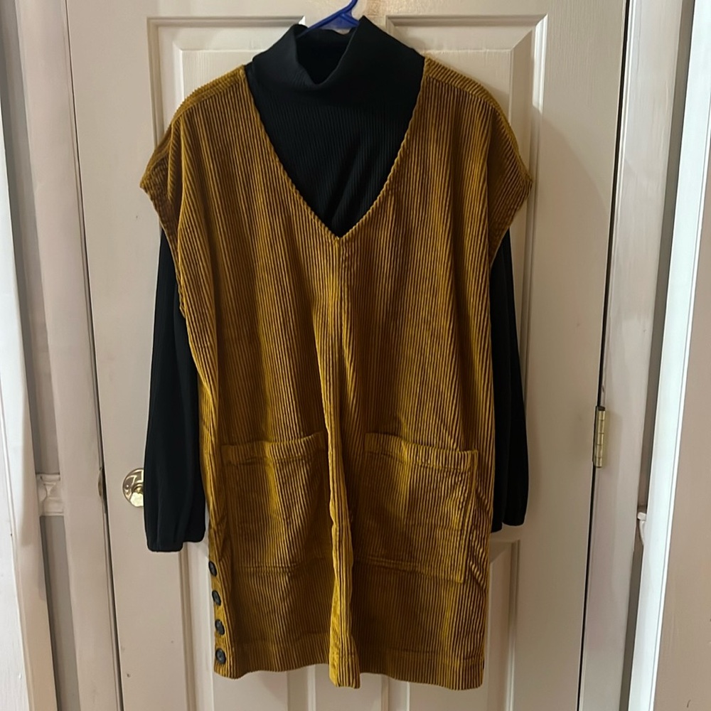Madewell Corduroy Dress with Black Turtle Neck separate top
